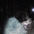 ВИДЕО | "Просто чудо". Полиция нашла страдающую деменцией пожилую женщину в снегу в кустах