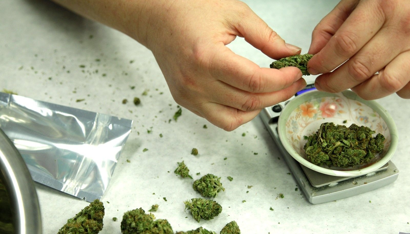 Медицинская марихуана что лечит семена конопли в кулинарии